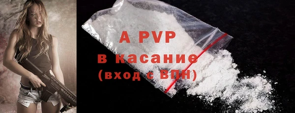сатива Арсеньев