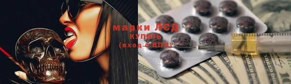 Альфа ПВП Аркадак