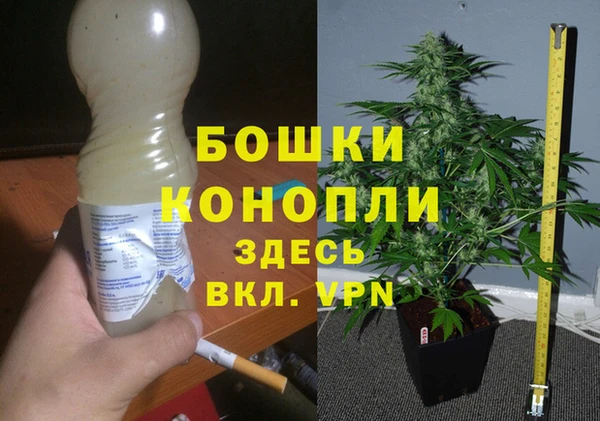 твердый Протвино