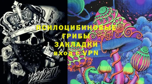 Альфа ПВП Аркадак