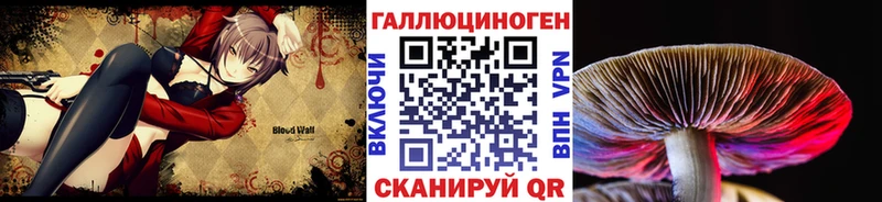 что такое   Малоархангельск  Псилоцибиновые грибы Cubensis 