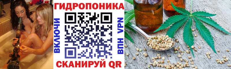 Каннабис OG Kush Малоархангельск